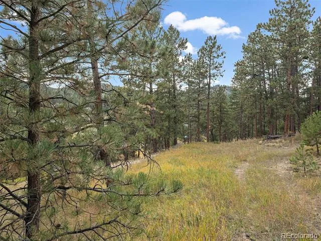 00 Cragmont Evergreen, CO 80439