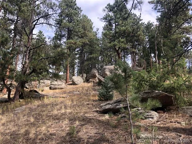 00 Cragmont Evergreen, CO 80439