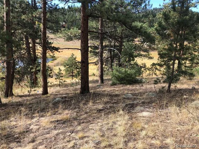 00 Cragmont Evergreen, CO 80439