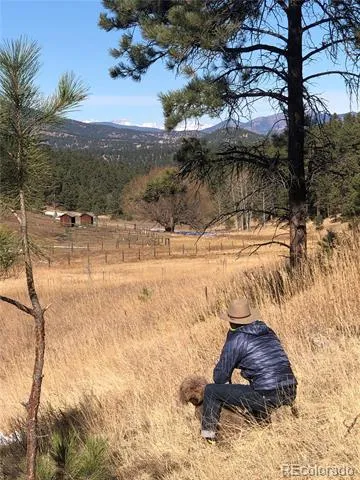 00 Cragmont Evergreen, CO 80439