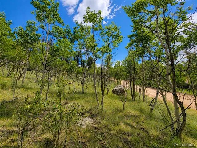 837 Concord Drive Jefferson, CO 80456