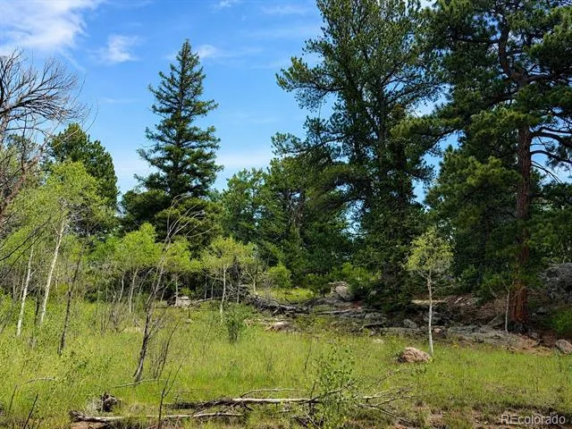 837 Concord Drive Jefferson, CO 80456