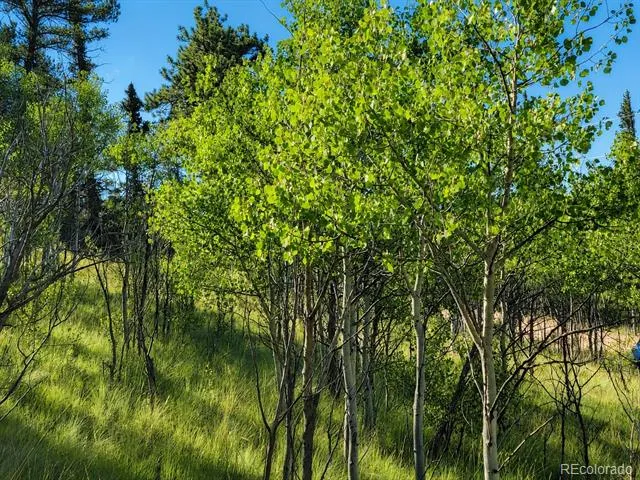 837 Concord Drive Jefferson, CO 80456