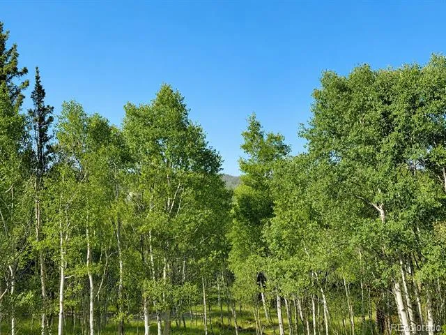 837 Concord Drive Jefferson, CO 80456