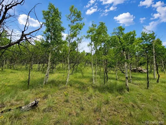 837 Concord Drive Jefferson, CO 80456