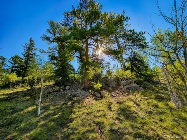 837 Concord Drive Jefferson, CO 80456