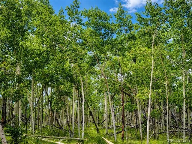 837 Concord Drive Jefferson, CO 80456