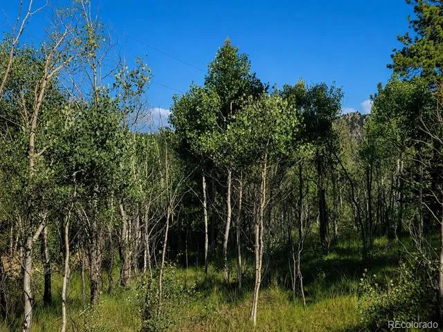 837 Concord Drive Jefferson, CO 80456