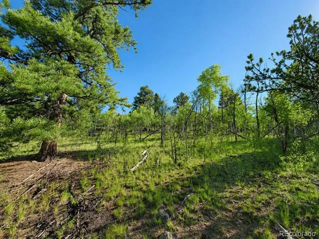 837 Concord Drive Jefferson, CO 80456