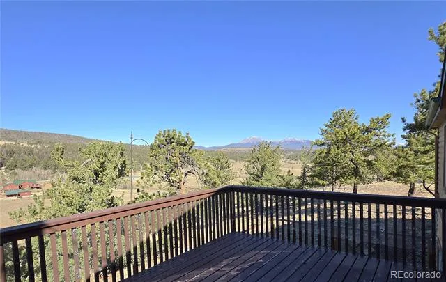 3580 Singletree Road Hartsel, CO 80449