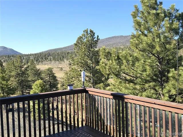 3580 Singletree Road Hartsel, CO 80449