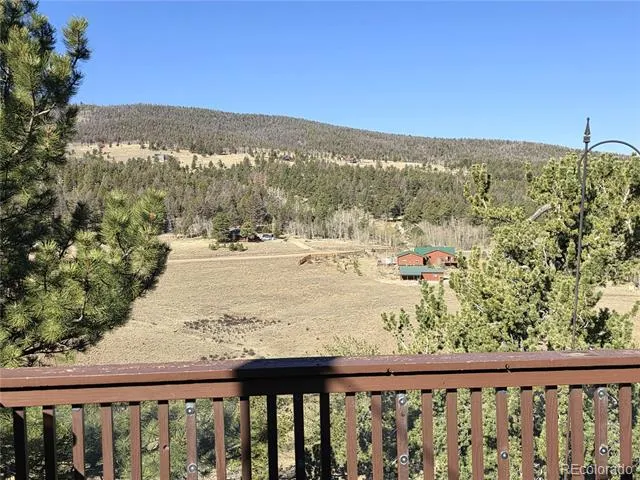 3580 Singletree Road Hartsel, CO 80449