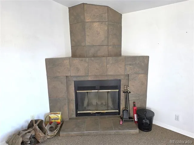 3580 Singletree Road Hartsel, CO 80449