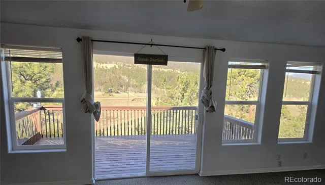 3580 Singletree Road Hartsel, CO 80449