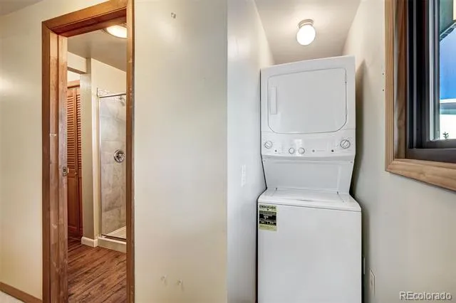 121 Fishermans Drive Silverthorne, CO 80498