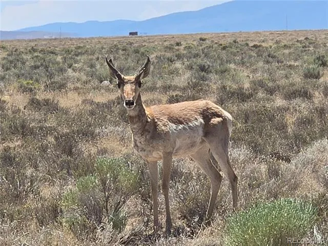Lot 20 Gallup Trail San Luis, CO 81152