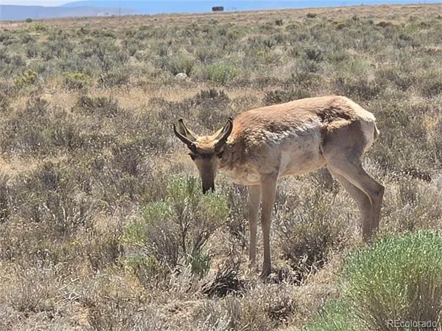 Lot 20 Gallup Trail San Luis, CO 81152