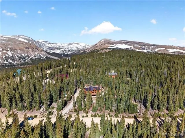 103 Prunes Place Fairplay, CO 80440