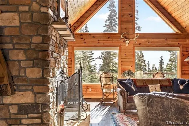 103 Prunes Place Fairplay, CO 80440