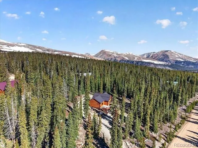 103 Prunes Place Fairplay, CO 80440