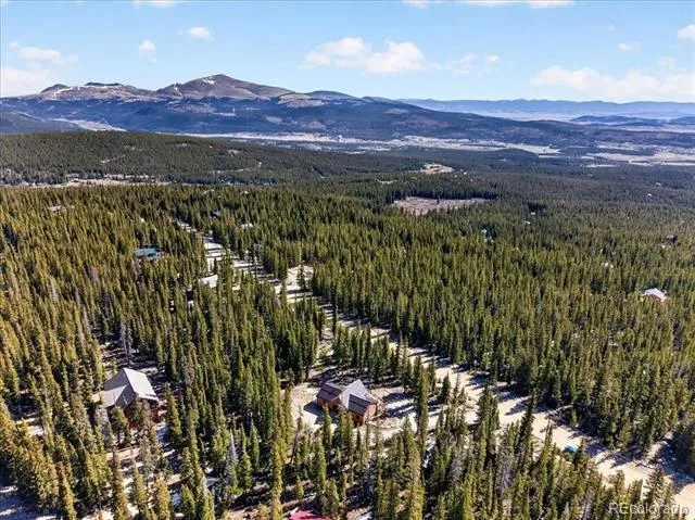 103 Prunes Place Fairplay, CO 80440