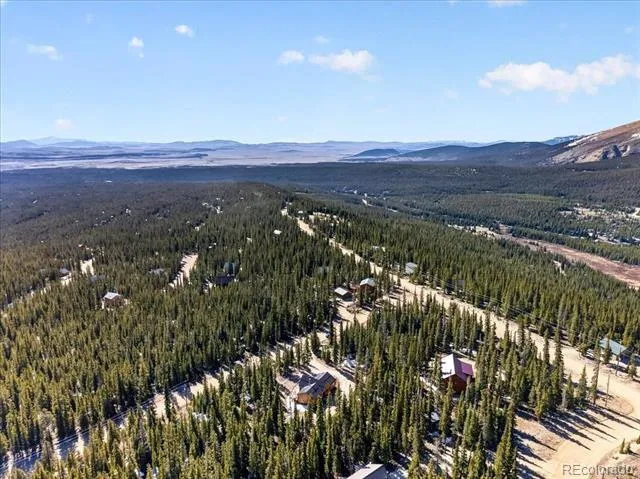 103 Prunes Place Fairplay, CO 80440