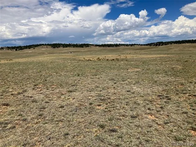 389 Chipita Trail Hartsel, CO 80449