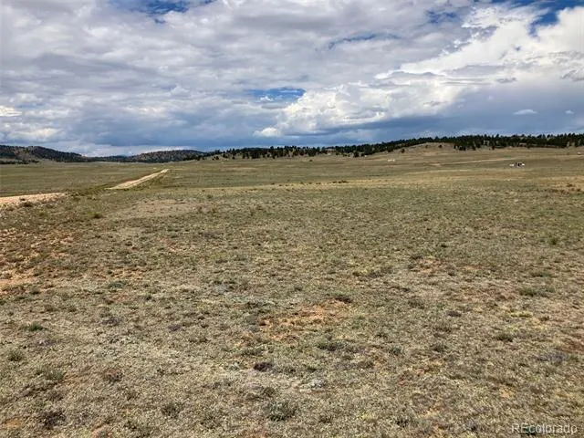 389 Chipita Trail Hartsel, CO 80449