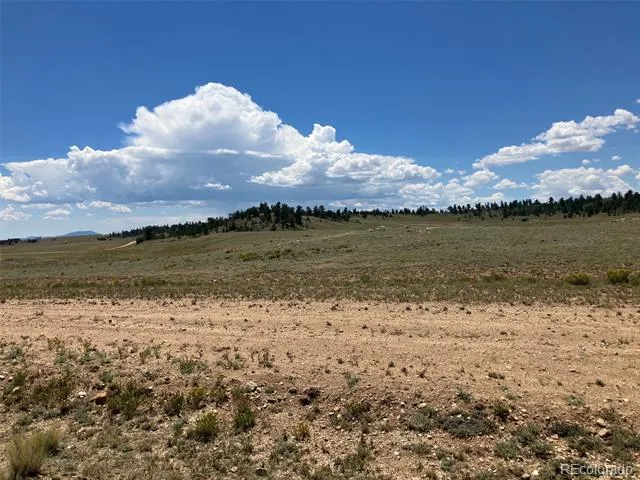 389 Chipita Trail Hartsel, CO 80449