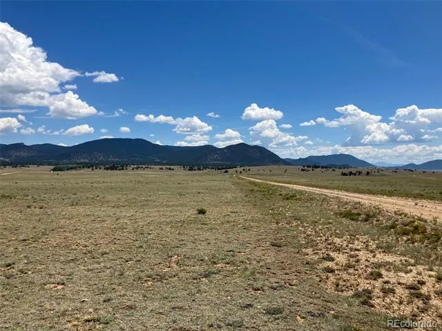 389 Chipita Trail Hartsel, CO 80449