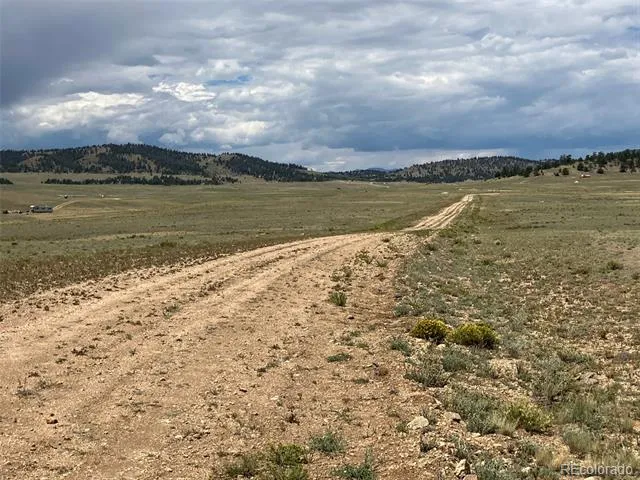 389 Chipita Trail Hartsel, CO 80449