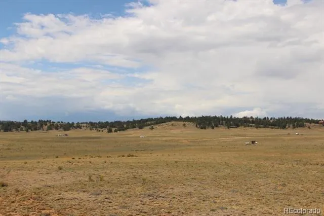389 Chipita Trail Hartsel, CO 80449
