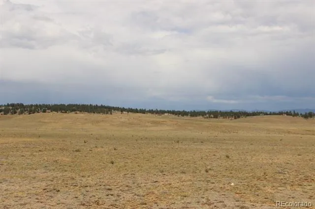 389 Chipita Trail Hartsel, CO 80449
