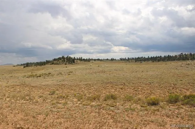 389 Chipita Trail Hartsel, CO 80449
