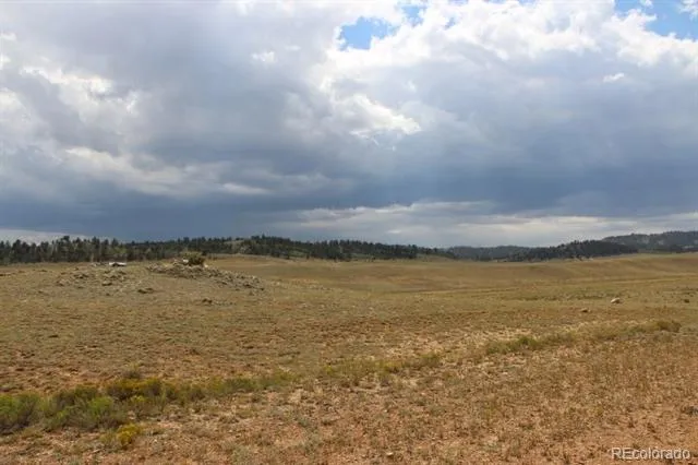 389 Chipita Trail Hartsel, CO 80449
