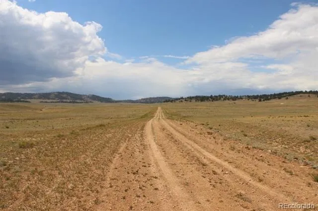 389 Chipita Trail Hartsel, CO 80449
