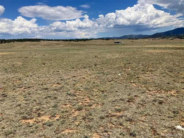 389 Chipita Trail Hartsel, CO 80449