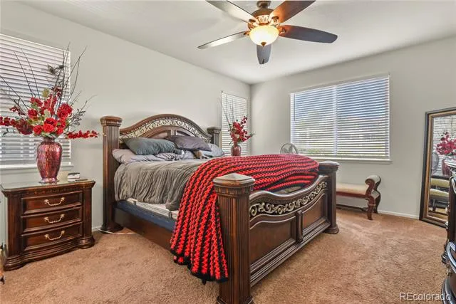 3921 John Court Castle Rock, CO 80104