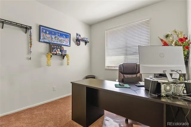 3921 John Court Castle Rock, CO 80104
