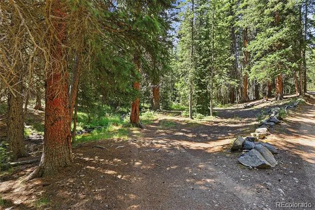 907 Hefferman Gulch Road Idaho Springs, CO 80452