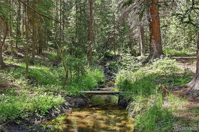 907 Hefferman Gulch Road Idaho Springs, CO 80452
