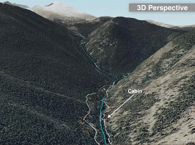 907 Hefferman Gulch Road Idaho Springs, CO 80452