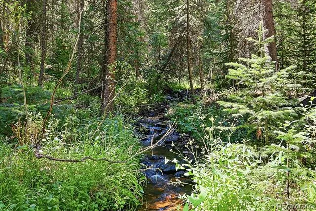 907 Hefferman Gulch Road Idaho Springs, CO 80452