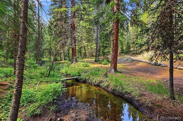 907 Hefferman Gulch Road Idaho Springs, CO 80452