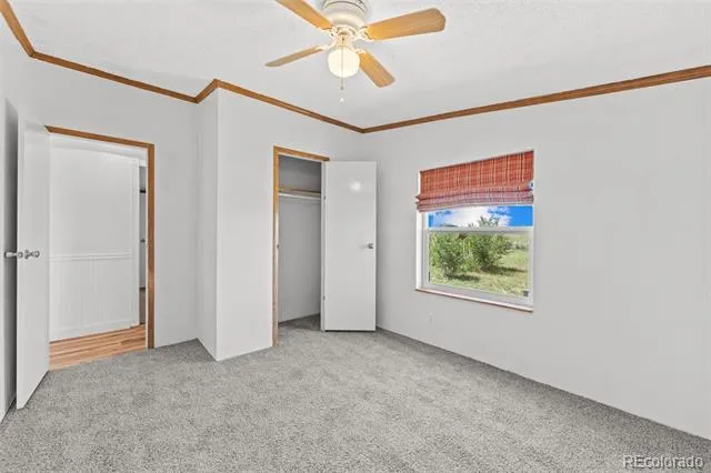6245 Peerless Farms Road Peyton, CO 80831