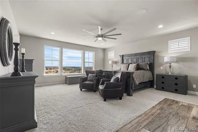 3238 Wingspan Point Castle Rock, CO 80108