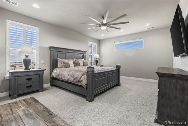 3238 Wingspan Point Castle Rock, CO 80108