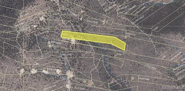 Lot 1 Eagle Mining Claim Dumont, CO 80436