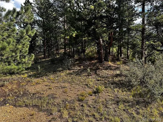 Lot 1 Eagle Mining Claim Dumont, CO 80436