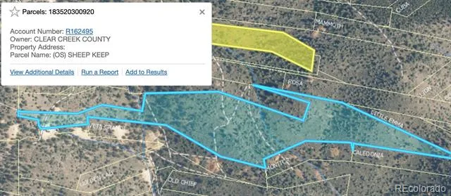 Lot 1 Eagle Mining Claim Dumont, CO 80436